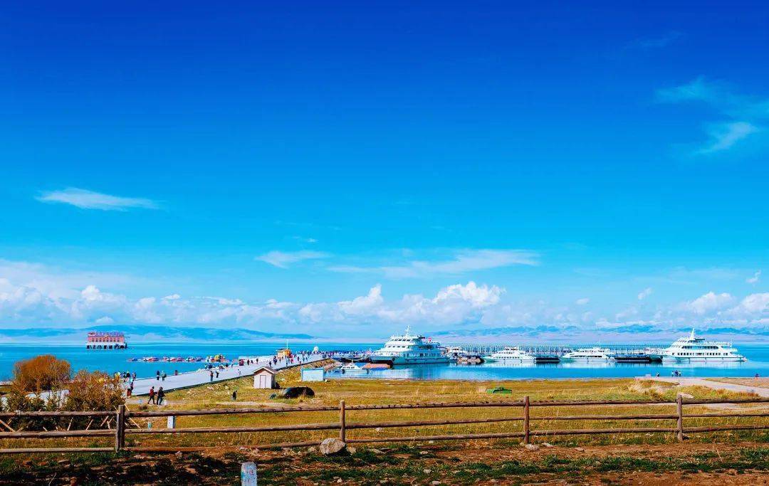 青海之行，探索高原魅力与收获之旅